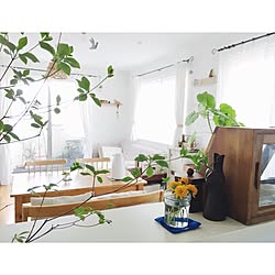 部屋全体/観葉植物/ホワイトナチュラル/ドウダンツツジ/ボタニカル...などのインテリア実例 - 2017-07-14 06:57:27