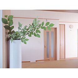 キッチン/シンプルが好き/ミニマリスト/観葉植物/無印良品...などのインテリア実例 - 2017-07-02 22:30:55