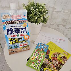 部屋全体/ガーデニング/植物のある暮らし/除草/アースガーデン...などのインテリア実例 - 2023-04-26 14:39:21