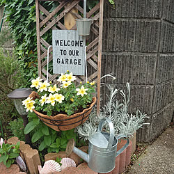 玄関/入り口/古い家に住む/平屋暮らし/築年数46年以上/玄関の花壇...などのインテリア実例 - 2022-05-09 15:50:41