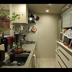 キッチン/パモウナ食器棚/水素水サーバーのインテリア実例 - 2017-06-26 22:56:42