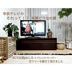 リビング/テレビに出ちゃいました!!/コメントお気遣いなく♡/トイレットペーパーの芯/建売...などのインテリア実例 - 2020-08-20 21:58:40