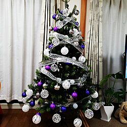 クリスマスツリーのインテリア実例 - 2016-12-19 20:18:46