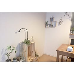 部屋全体/ホワイトインテリア/エアプランツ/観葉植物/IKEA...などのインテリア実例 - 2016-10-28 08:49:39