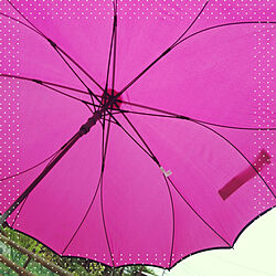 雨/傘/お気に入り♡/グリーンのある暮らし/ピンク...などのインテリア実例 - 2018-09-20 12:36:53