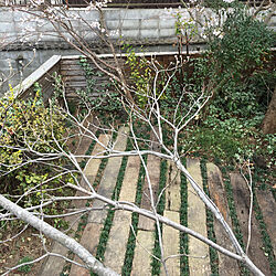 庭/DIY/枕木のインテリア実例 - 2020-04-17 07:49:13