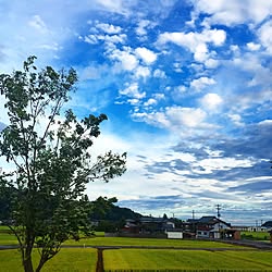 バス/トイレ/出張の為、チェリーと暫しの別れ/強風/青空/台風...などのインテリア実例 - 2015-08-26 10:27:31