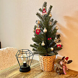 リビング/クリスマスツリー/観葉植物/IKEA/雑貨...などのインテリア実例 - 2023-12-03 00:42:52