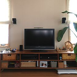 リビング/テレビボード/IKEAのインテリア実例 - 2013-05-21 10:29:02