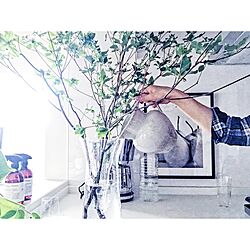 キッチン/リノベーション/モノトーン/IKEA/観葉植物のインテリア実例 - 2016-10-20 09:11:32