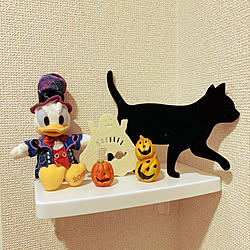 natural kitchen/disney/ハロウィン/玄関/入り口/spooky...などのインテリア実例 - 2020-10-09 20:44:18