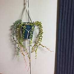 いいね&フォローありがとうございます♡/フェイクグリーン/DIY/ハンドメイド/セリア...などのインテリア実例 - 2016-10-16 20:16:12