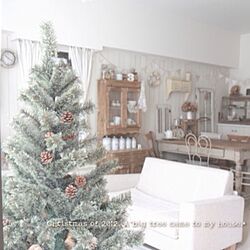 クリスマスツリーのインテリア実例 - 2013-01-03 16:54:14