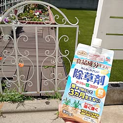 玄関/入り口/花のある暮らし/ガーデニング/植物のある暮らし/除草...などのインテリア実例 - 2023-05-01 17:29:24