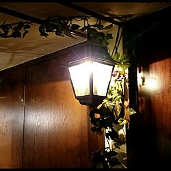 壁/天井/照明/植物/アンティークのインテリア実例 - 2014-11-18 00:06:27