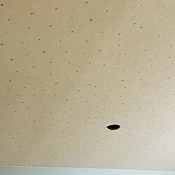 サンゲツ壁紙/壁/天井のインテリア実例 - 2022-05-20 12:35:15