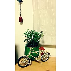 わたしのへや/つくえ/salut !/植物/自転車...などのインテリア実例 - 2013-12-07 17:05:07