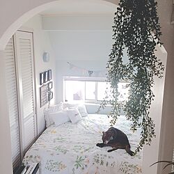 ベッド周り/ZARA HOME/IKEA/IG→lovecat.aki/ねこのいる風景...などのインテリア実例 - 2017-04-30 12:37:42