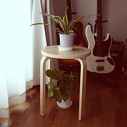 観葉植物/IKEAのインテリア実例 - 2013-06-23 12:09:50