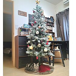 壁/天井/クリスマス/猫と暮らす家/ねこのいる日常/ねこと暮らす...などのインテリア実例 - 2023-12-18 18:01:21