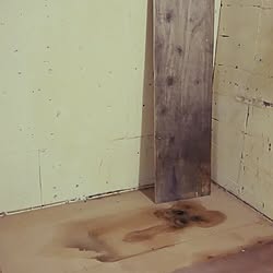 部屋全体/シャンプー台/床/DIY/オーガニック...などのインテリア実例 - 2015-10-20 23:01:44