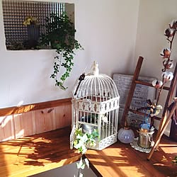 机/ニッチ/観葉植物/コットンフラワー/鳥かご...などのインテリア実例 - 2013-12-27 10:34:39