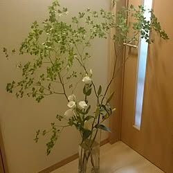 玄関/入り口/植物/観葉植物のインテリア実例 - 2015-05-24 19:26:11