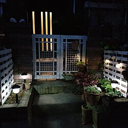 玄関/入り口/ライトアップ/はなのある暮らし/植物のある暮らし/LEDライトのインテリア実例 - 2022-11-22 17:08:45