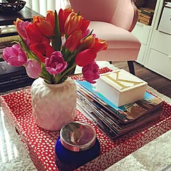 Pink/living room/gold/plants/tablescape...などのインテリア実例 - 2015-05-07 13:13:25