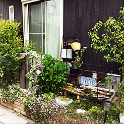 春/植物/DIY/ガーデニング/お庭...などのインテリア実例 - 2020-04-16 11:41:35