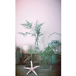 玄関/入り口/ラベンダー/花のある暮らし/植物のある部屋/NO GREEN NO LIFE...などのインテリア実例 - 2015-04-25 17:45:34