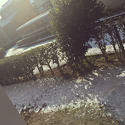 玄関/入り口/雪景色/インテリアどころか外！/インテリアじゃなくてごめんなさい/団地　賃貸...などのインテリア実例 - 2016-01-25 09:59:35