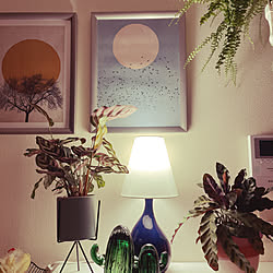 照明/IKEA/築30年/壁紙リフォーム/観葉植物...などのインテリア実例 - 2021-08-19 18:53:00