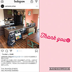 インスタ掲載ありがとうございます！/山善/セリア アイアンバー/ラブリコ 棚/コウモリラン苔玉...などのインテリア実例 - 2019-08-07 08:47:41