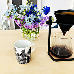 北欧インテリアに憧れる/コーヒー/お花のある暮らし/イッタラ/KINTO ブリューワースタンドセット...などのインテリア実例 - 2023-02-06 13:24:06