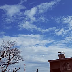 壁/天井/気持ちも明るく。/寒いけど。。。/真冬日。/Blue Cloverのインテリア実例 - 2017-01-09 13:00:23