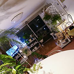 部屋全体/アンティークホワイト/輸入雑貨/フェニックスロベレニー/プロヴァンス...などのインテリア実例 - 2017-03-20 19:32:08