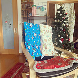 クリスマス2022/本棚ディスプレイ/ホットカーペット/ウィルトンカーペット/IKEAの椅子...などのインテリア実例 - 2022-12-08 14:33:13