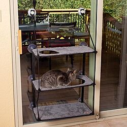キャットベッド/窓取り付けキャットベッド/窓用ベッド/猫のいる日常/猫のいる暮らし...などのインテリア実例 - 2021-08-23 17:37:01
