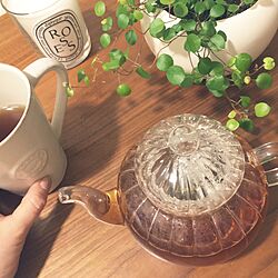 リビング/tea time/COSTA NOVA/diptyque/植物のある暮らし...などのインテリア実例 - 2017-02-18 20:57:08