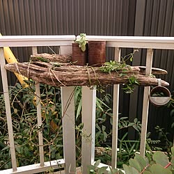 部屋全体/植物/ディスプレイ/インテリア雑貨/display...などのインテリア実例 - 2015-11-09 15:20:51