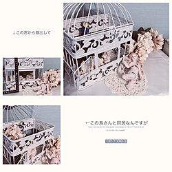 棚/kusuttoさんへ/フォロー&いいね ありがとうございます♡/リフォーム後/部屋づくり迷走中...などのインテリア実例 - 2017-07-04 10:32:40