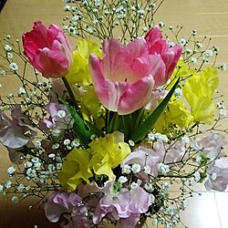 リビング/お花のある暮らし/花のある暮らしのインテリア実例 - 2017-01-29 13:22:19