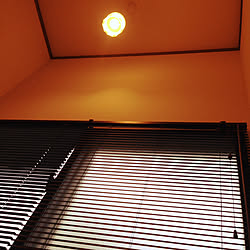 壁/天井/ライト/照明/階段の窓/階段...などのインテリア実例 - 2017-10-13 09:49:00