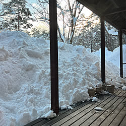 テラスのある暮らし/窓辺/雪/窓辺の風景/豪雪地帯...などのインテリア実例 - 2022-02-18 17:19:02