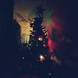 キッチン/クリスマスツリーのインテリア実例 - 2014-12-24 19:57:43