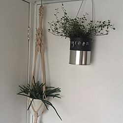 部屋全体/DIY/植物のインテリア実例 - 2016-05-21 19:13:36