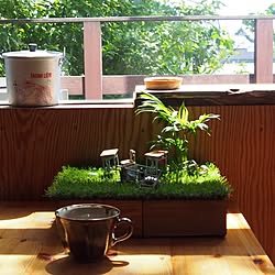 部屋全体/窓からの眺め/セリアの植物/セリアリメイク ボックス/ミニチュア...などのインテリア実例 - 2014-05-28 09:59:15