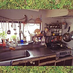 キッチン/DIY/植物のインテリア実例 - 2014-05-13 17:36:18