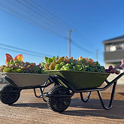 一輪車/多肉植物寄せ植え/机ではありません/メルカリ販売中/多肉植物のある暮らし...などのインテリア実例 - 2022-12-08 14:39:43